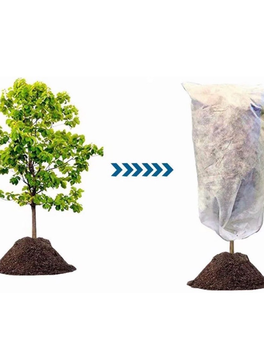 Amazon White Tree Protection Cover for Young Trees
